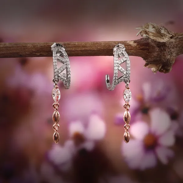 Elegant_SilverTone_Dangle_Earrings_With_Brown_Beads_For_Women