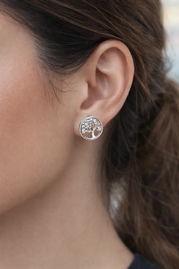 Silver_Tone_Moon_and_Star_Stud_Earrings