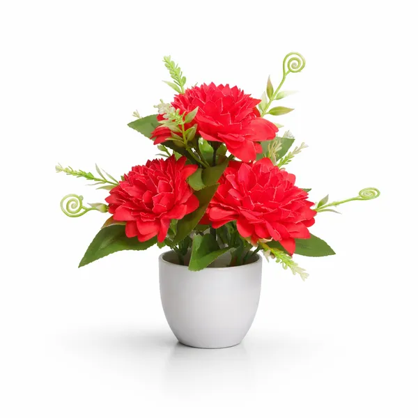 White_Flower_Pot_Dark_Pink