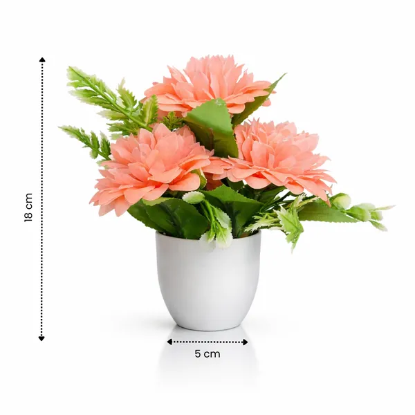 White_Flower_Pot_Peach