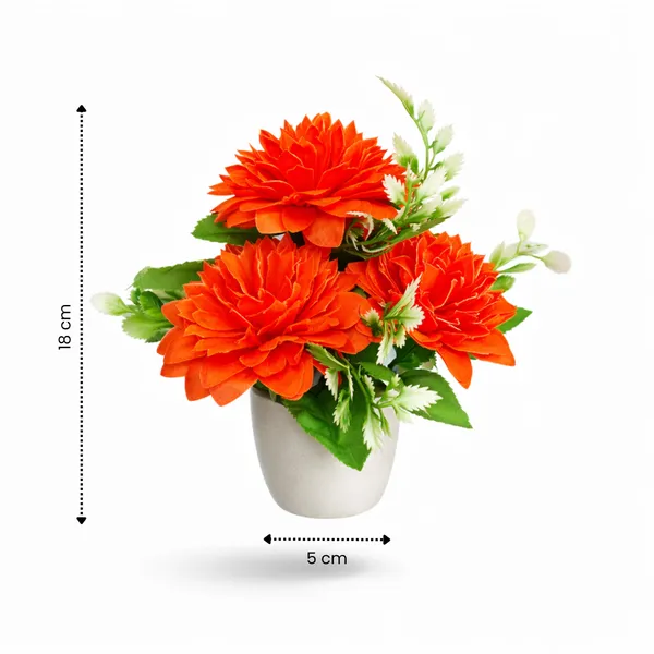 White_Flower_Pot_Red