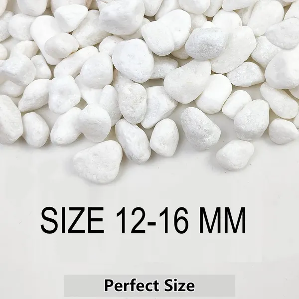 Bhargo_Polished_White_Pebble_For_Aquarium,_Plant_Pots_&_Home_Garden_Decoration_Polished_Asymmetrical_Marble_Pebbles