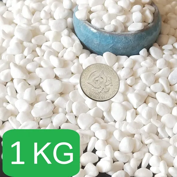 Bhargo_Polished_White_Pebble_For_Aquarium,_Plant_Pots_&_Home_Garden_Decoration_Polished_Asymmetrical_Marble_Pebbles