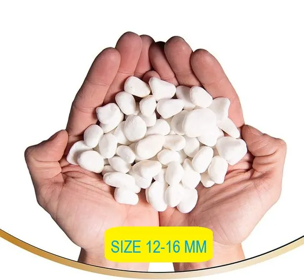 Bhargo_Polished_White_Pebble_For_Aquarium,_Plant_Pots_&_Home_Garden_Decoration_Polished_Asymmetrical_Marble_Pebbles