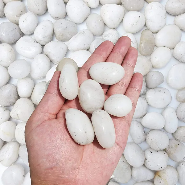 Bhargo_5Kg_Natural_Polished_White_Pebbles_(White_Polished)_Smooth_For_Plants,_Aquariums,Terrarium,Succulents,Garden_Pots,Bamboo_Plants_&_Multi_Purpose_Pack_(_White_Polished)