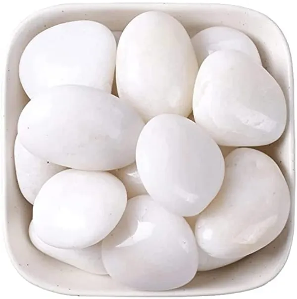 Bhargo_5Kg_Natural_Polished_White_Pebbles_(White_Polished)_Smooth_For_Plants,_Aquariums,Terrarium,Succulents,Garden_Pots,Bamboo_Plants_&_Multi_Purpose_Pack_(_White_Polished)