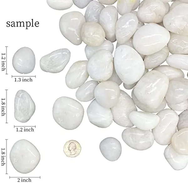 Bhargo_5Kg_Natural_Polished_White_Pebbles_(White_Polished)_Smooth_For_Plants,_Aquariums,Terrarium,Succulents,Garden_Pots,Bamboo_Plants_&_Multi_Purpose_Pack_(_White_Polished)