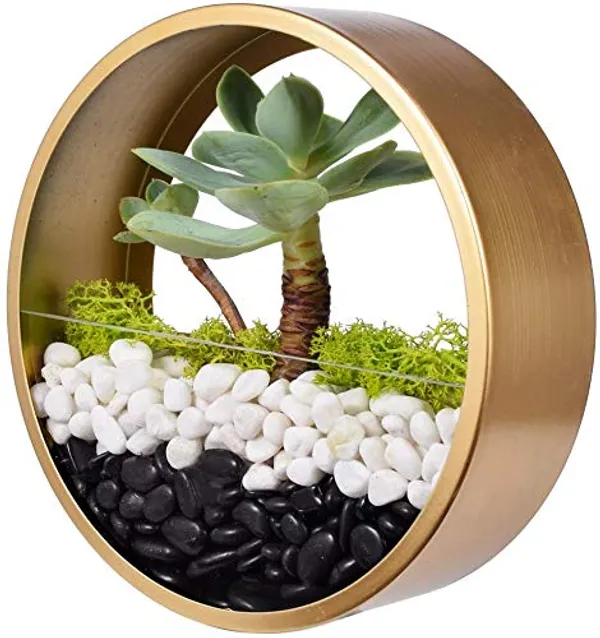 Bhargo_Big_Black_Pebbles_Stones_For_Garden_Decor,_Fountain,_Lawn._Fish_Tank_Aquarium_Decorative_Pebbles_Stones_-_Home_Decor_Pebble_Stones
