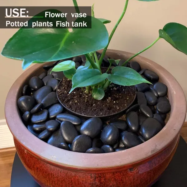 Bhargo_Big_Black_Pebbles_Stones_For_Garden_Decor,_Fountain,_Lawn._Fish_Tank_Aquarium_Decorative_Pebbles_Stones_-_Home_Decor_Pebble_Stones