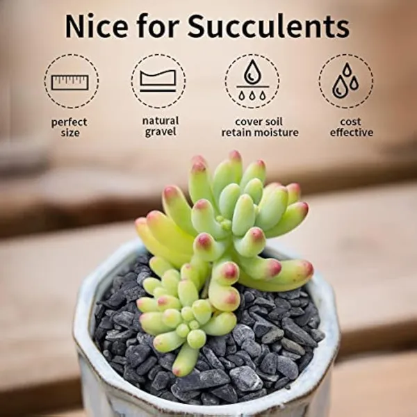 Bhargo_Black_Granite_Chips_Pebbles_For_Aquarium_Garden_Planter_Decor_Regular_Asymmetrical_Granite_Stone_(Black)