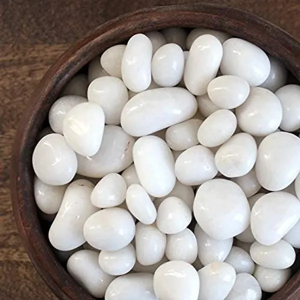 Bhargo_Polished_White_Pebbles_Stones_|_Natural_Decorative_Garden_&_Aquarium_Stones_For_Plant_Pots,_Vase_Fillers,_Terrarium_&_Home_Décor