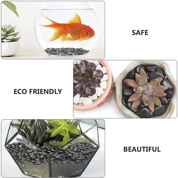 Bhargo_Polished_White_Pebbles_Stones_|_Natural_Decorative_Garden_&_Aquarium_Stones_For_Plant_Pots,_Vase_Fillers,_Terrarium_&_Home_Décor