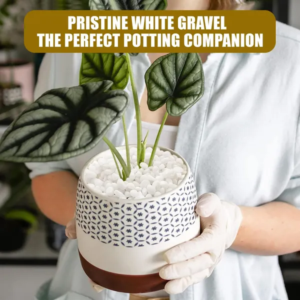 Bhargo_White_Chips_Stone_For_Aquarium_Garden_Plant_Pot_Decoration_Pack_Polished_Asymmetrical_Marble_Pebbles