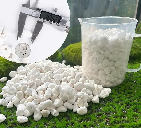 Multi_&_White_Stone_Pebbles_Garden_Aquarium_Decor_Polished_Asymmetrical_Marble_Pebbles_(White)