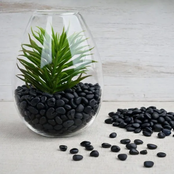 Polished_Black_Pebbles_Stones_,_Natural_Decorative_Pebbles_For_Garden_Landscaping,_Aquarium,_Plant_Pots,_Vase_Fillers,_Terrarium_&_Home_Decor