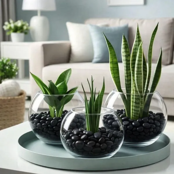 Polished_Black_Pebbles_Stones_,_Natural_Decorative_Pebbles_For_Garden_Landscaping,_Aquarium,_Plant_Pots,_Vase_Fillers,_Terrarium_&_Home_Decor