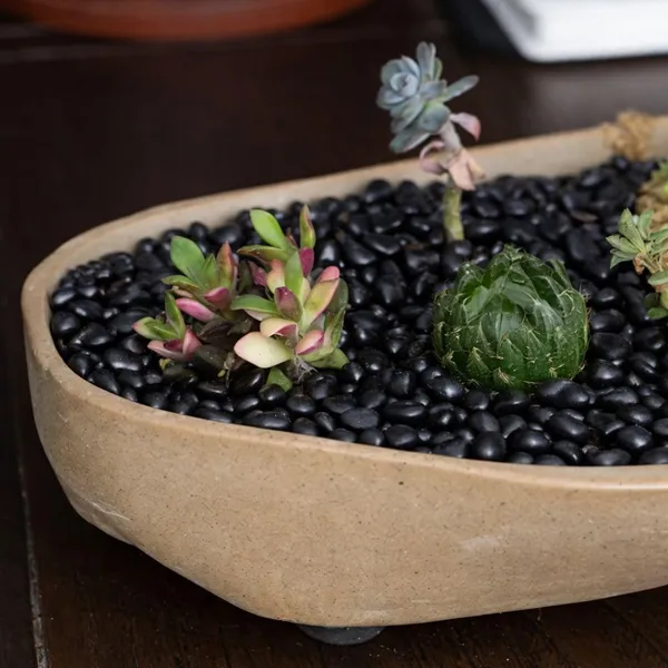 Polished_Black_Pebbles_Stones_,_Natural_Decorative_Pebbles_For_Garden_Landscaping,_Aquarium,_Plant_Pots,_Vase_Fillers,_Terrarium_&_Home_Decor