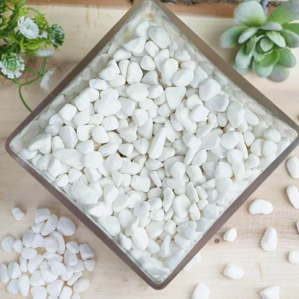 Stone_Decorative_Aquarium_And_Vase_Fillers_Pebbles_For_Garden_And_Home_Decor_White