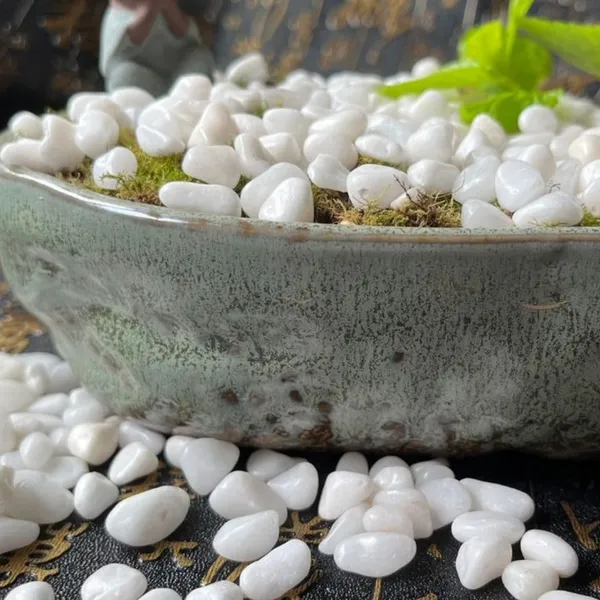 Stone_Decorative_Aquarium_And_Vase_Fillers_Pebbles_For_Garden_And_Home_Decor_White