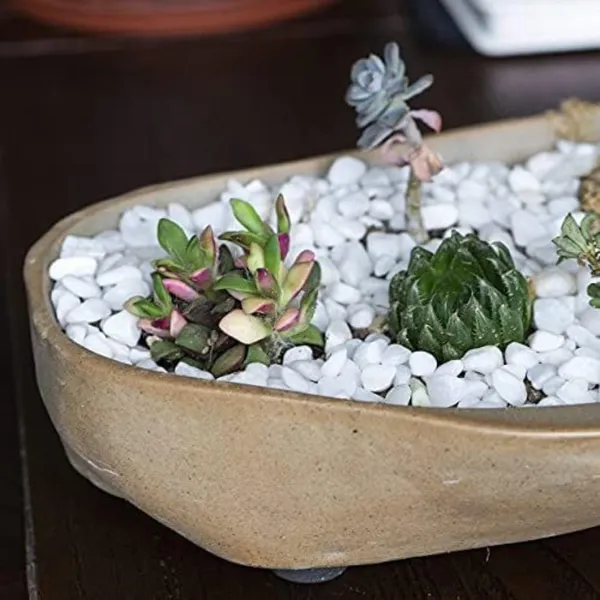 Stone_Decorative_Aquarium_And_Vase_Fillers_Pebbles_For_Garden_And_Home_Decor_White
