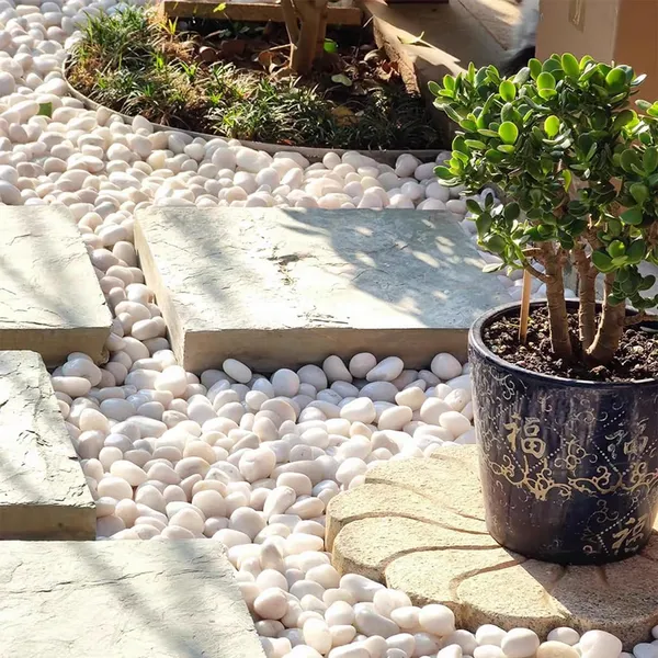 Stone_Decorative_Aquarium_And_Vase_Fillers_Pebbles_For_Garden_And_Home_Decor_White