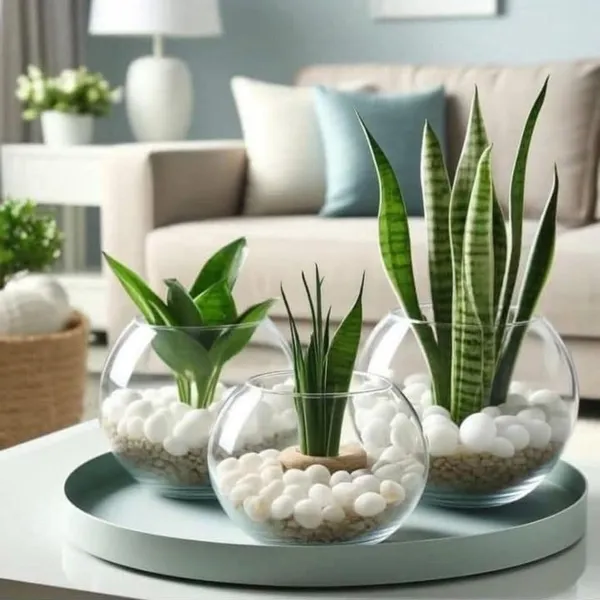 Stone_Decorative_Aquarium_And_Vase_Fillers_Pebbles_For_Garden_And_Home_Decor_White