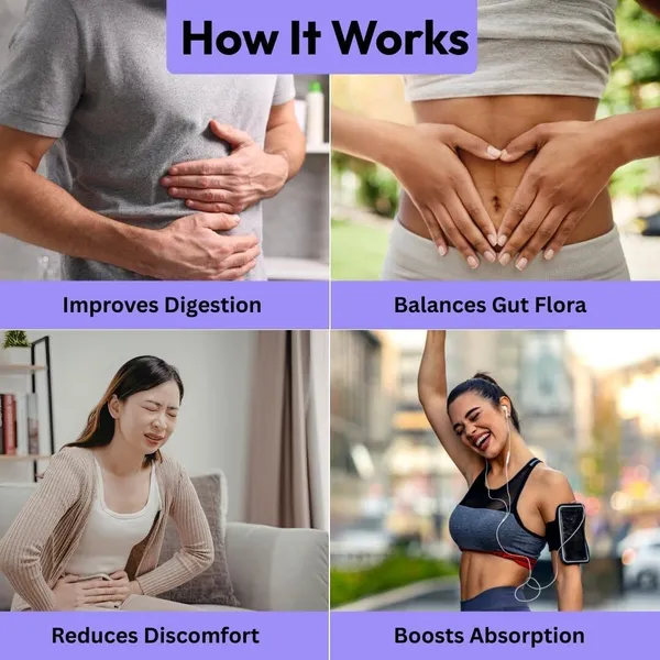 TRIDOSH_HERBALS_Gut_Care_Capsules|Supports_Digestive_Health_&_Gut_Balance|Riphala,Ginger,Fennel_(60_Capsules)