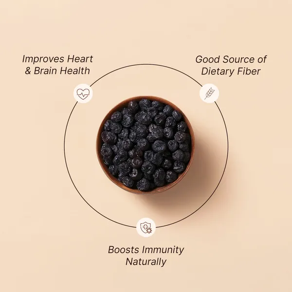 Rostaa_Gourmet_Dried_Blueberries