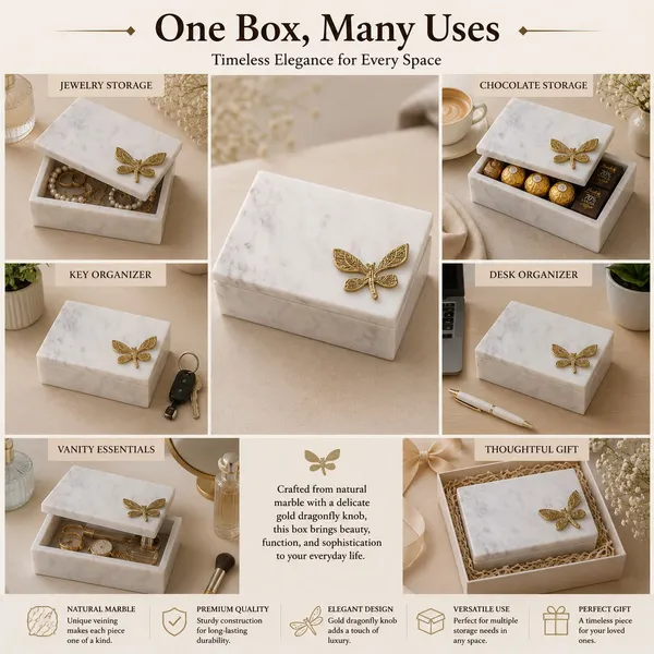 Dragon_white_box