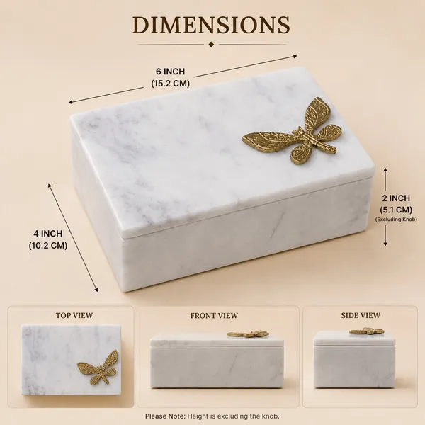 Dragon_white_box