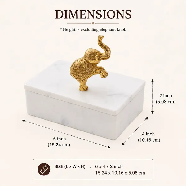 Elephant_white_box