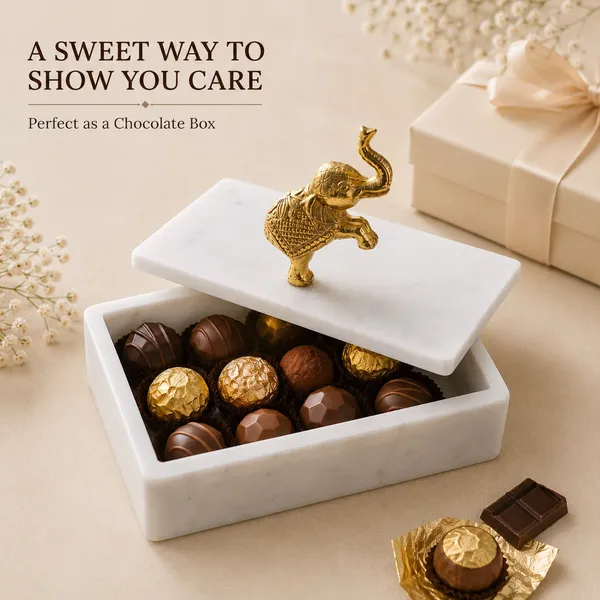 Elephant_white_box