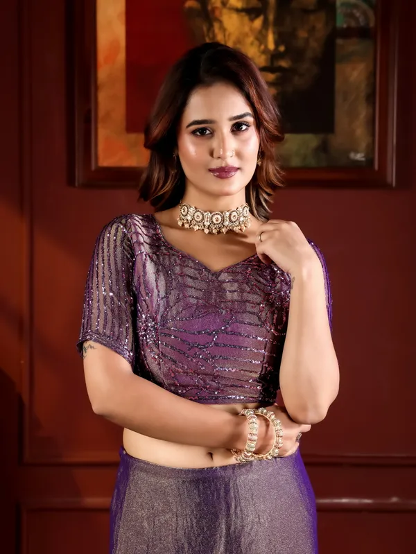 Purple_Grey_Moss_Chiffon_Embellished_Saree_With_Blouse_For_Women