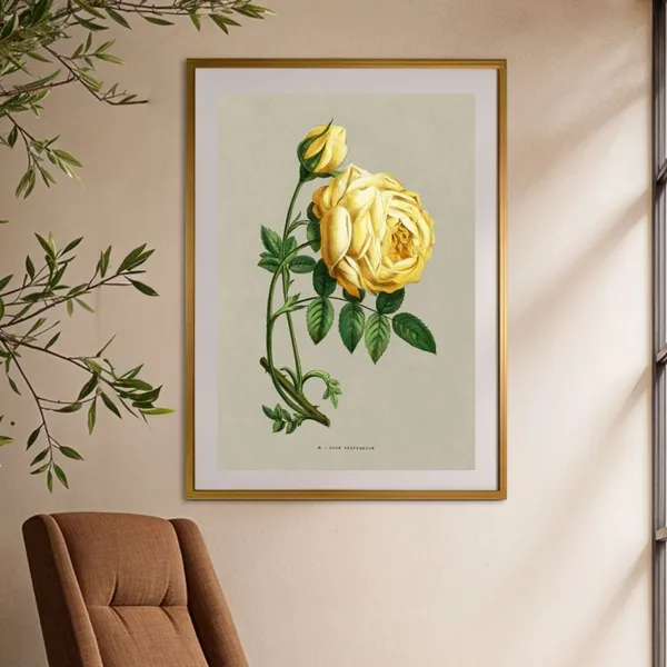 Yellow_Rose_Art_Print_Silver_Metal_Frame