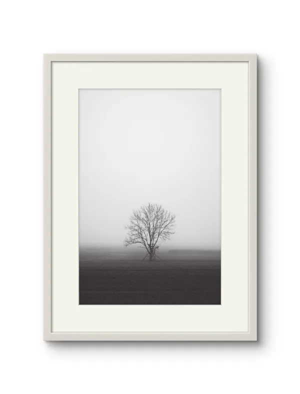 Lone_Tree_Black_&_White_Landscape_Art_Print_Rolled