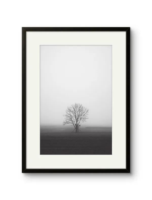 Lone_Tree_Black_White_Art_Print_White_Frame