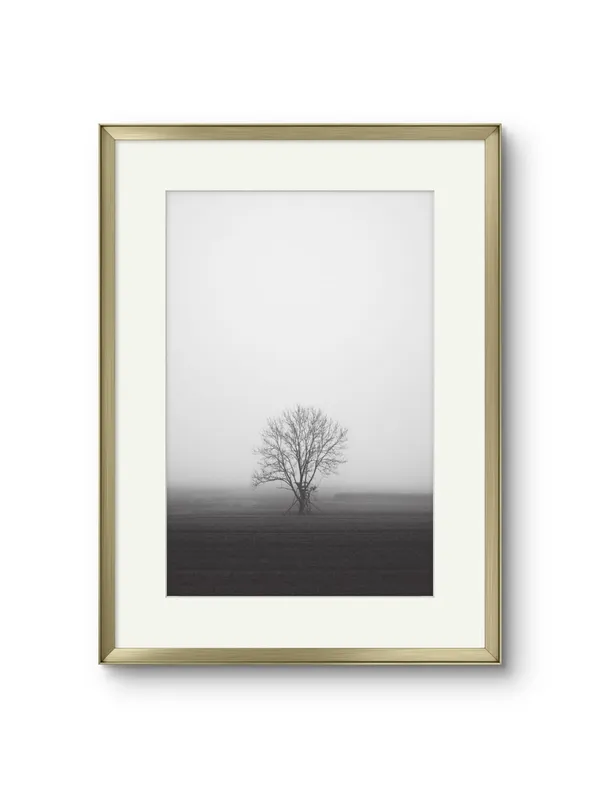 Lone_Tree_Canvas_Print_White_Frame