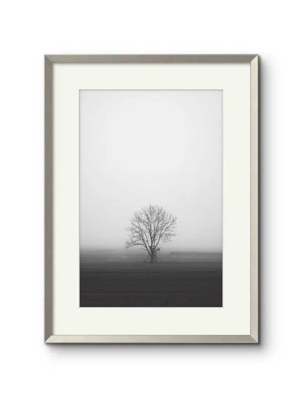 Lone_Tree_Black_White_Canvas_Wrap