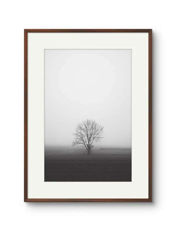 Lone_Tree_Canvas_Print_Metal_Silver_Frame