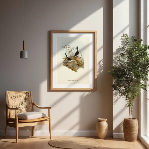 Birds_Malurus_Hypoleucus_Art_Print_White_Frame