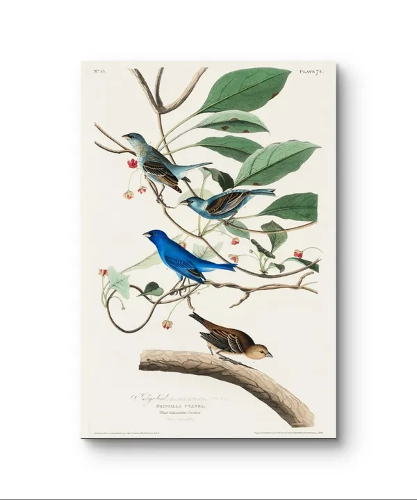 Indigo_Bird_Abstract_Art_Print_Rolled_Art