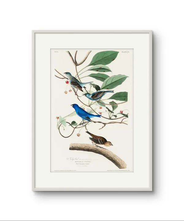 Indigo_Bird_Abstract_Art_Print_Rolled_Art