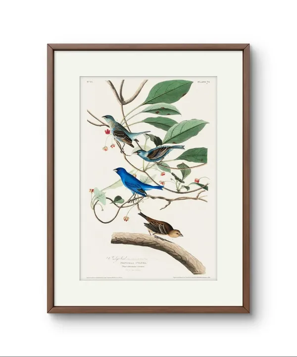 Fiber_Abstract_Indigo_Bird_Canvas_Rolled_Art_Print