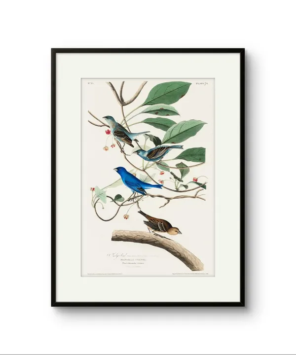 Indigo_Bird_Abstract_Art_Print_Canvas_Black_Frame