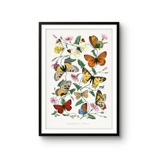 Fiber_Nature_Butterfly_And_Moth_Painting_Canvas_Print