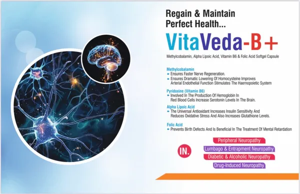 Vitaveda_9G_Omega-3_Multivitamin_&_Antioxidant_Softgel_Capsules_For_Heart_Health,_Immunity_&_Vitality_Pack_Of_1_Strip_(10_Tablets)