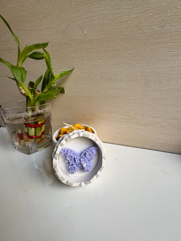 Concrete_Mirror_Jar_With_Purple_Butterfly