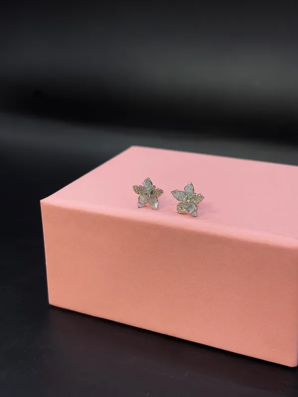 Silver_Stud_Earrings_For_Women
