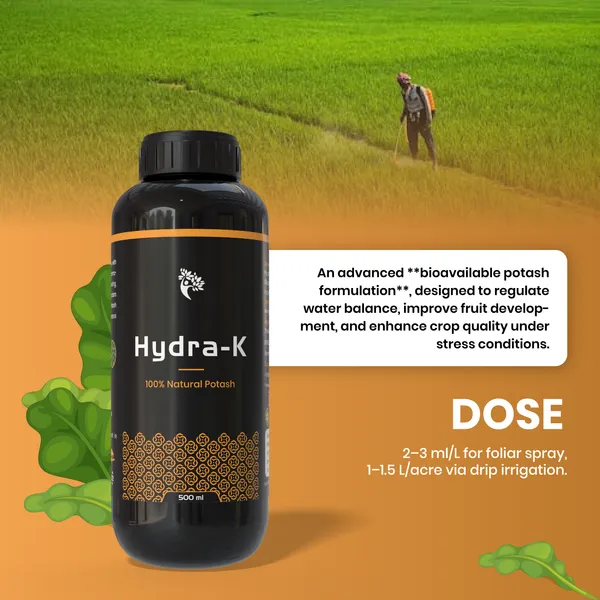 Hydra-K_-_Liquid_Potash_(500Ml)