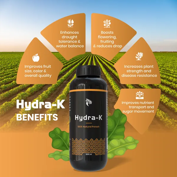 Hydra-K_-_Liquid_Potash_(500Ml)